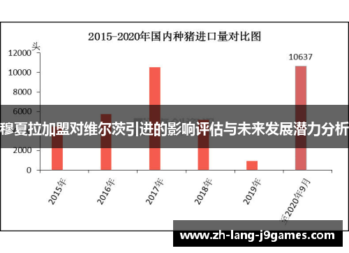 穆夏拉加盟对维尔茨引进的影响评估与未来发展潜力分析
