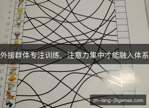 外援群体专注训练，注意力集中才能融入体系